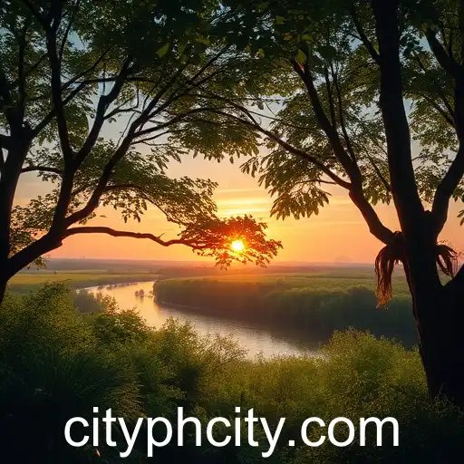 The Rising Influence of Digital Platforms